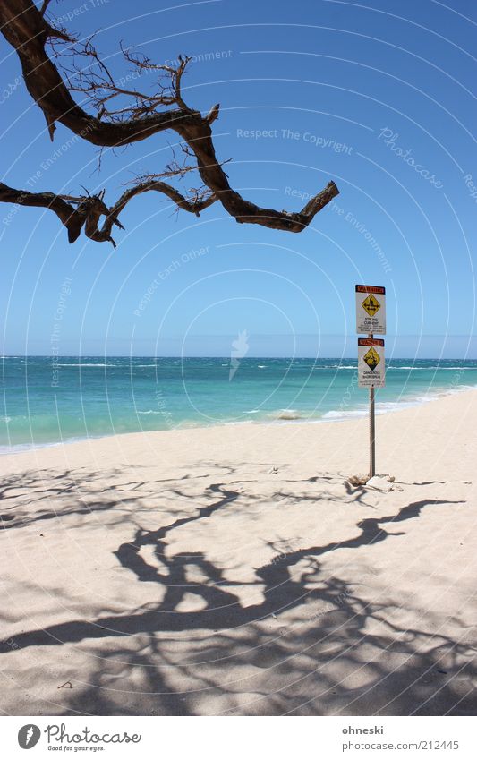 Strong Current Vacation & Travel Summer Summer vacation Beach Ocean Waves Pacific Ocean Freedom Branch Signs and labeling Warn Warning label Colour photo