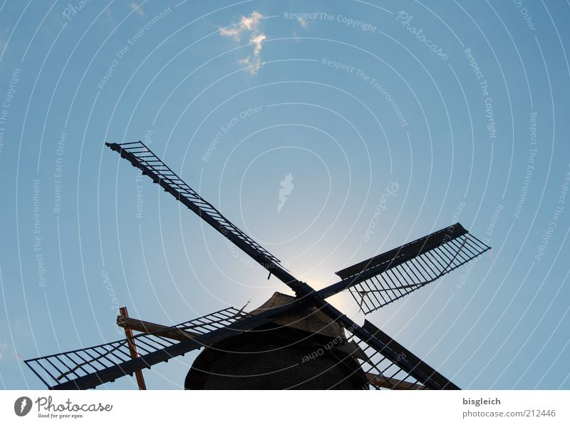 mill Mill Craft (trade) Windmill Blue Sky Diligent Colour photo Exterior shot Copy Space top Worm's-eye view Sunlight Blue sky Cloudless sky Windmill vane