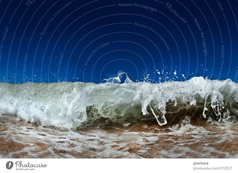 Shy of water? Summer Waves Elements Water Drops of water Beautiful weather Coast Ocean Esthetic Exceptional Wet Blue Movement Exotic Power Nature Colour photo