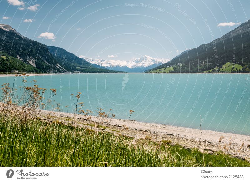 Reschensee Environment Nature Landscape Sky Summer Beautiful weather Bushes Meadow Alps Mountain Lakeside Far-off places Gigantic Natural Blue Green Turquoise