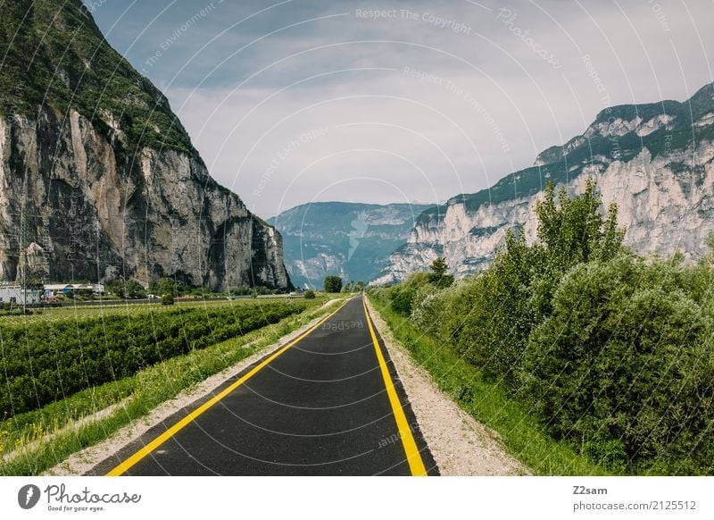bicycle road Nature Landscape Sky Sun Summer Beautiful weather Bushes Alps Mountain Street Natural Blue Green Loneliness Idyll Center point Sustainability