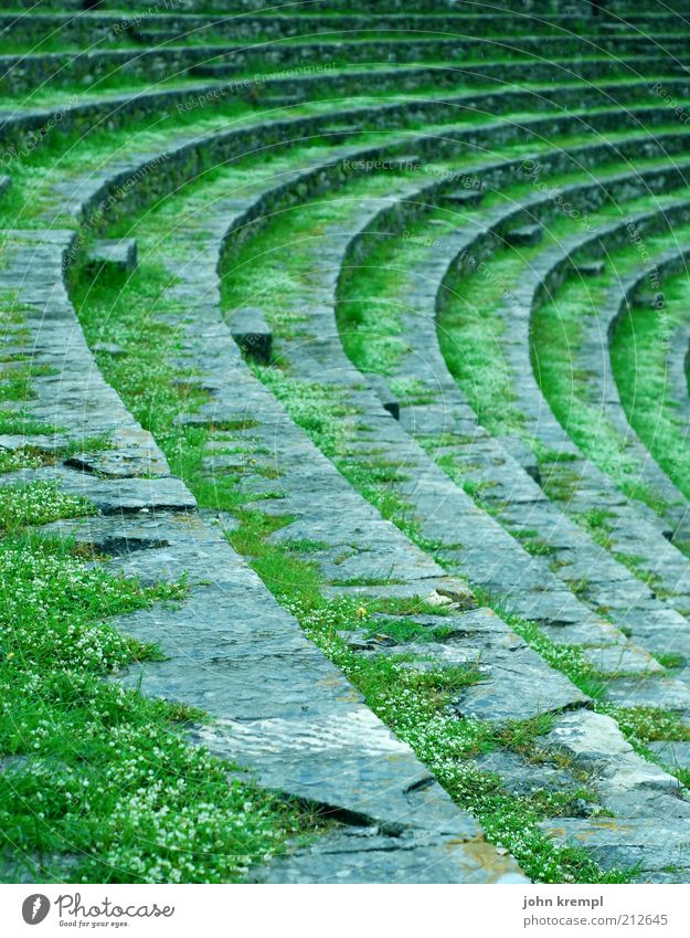 round shelf Theatre Stage Culture pula Croatia Amphitheatre Arena Tourist Attraction Monument Old Green Seating Round Curve Ruin Overgrown Weathered Ancient
