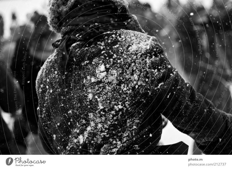 snowball fight Snowball fight Human being Masculine 1 Throw Coat Black & white photo Exterior shot Day Shallow depth of field Jacket Snowfall Winter Rear view