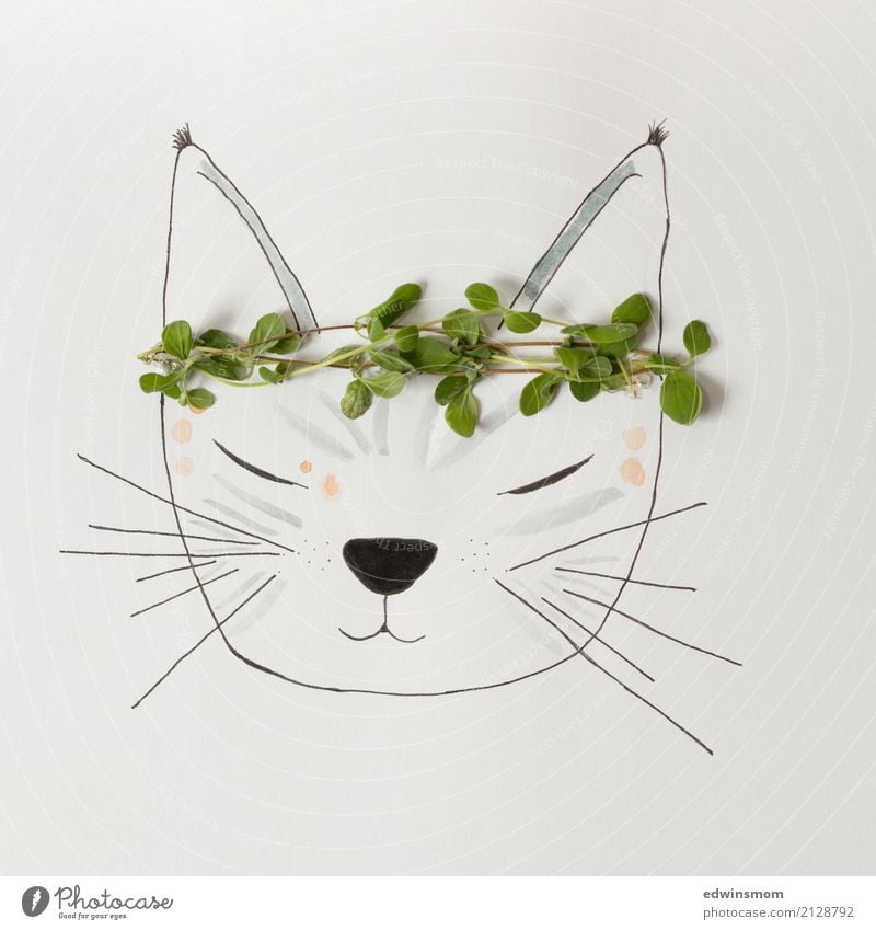 meow Leisure and hobbies Handicraft Draw Nature Plant Summer Herbs and spices Accessory Animal Pet Cat Paper Decoration Sleep Dream Bright Natural Wild Gray