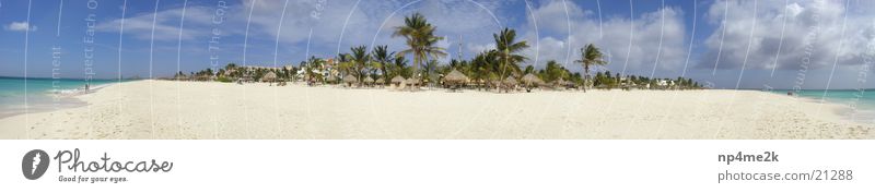Beach Aruba 2 Palm tree Deckchair Wide angle Sand Graffiti paradise