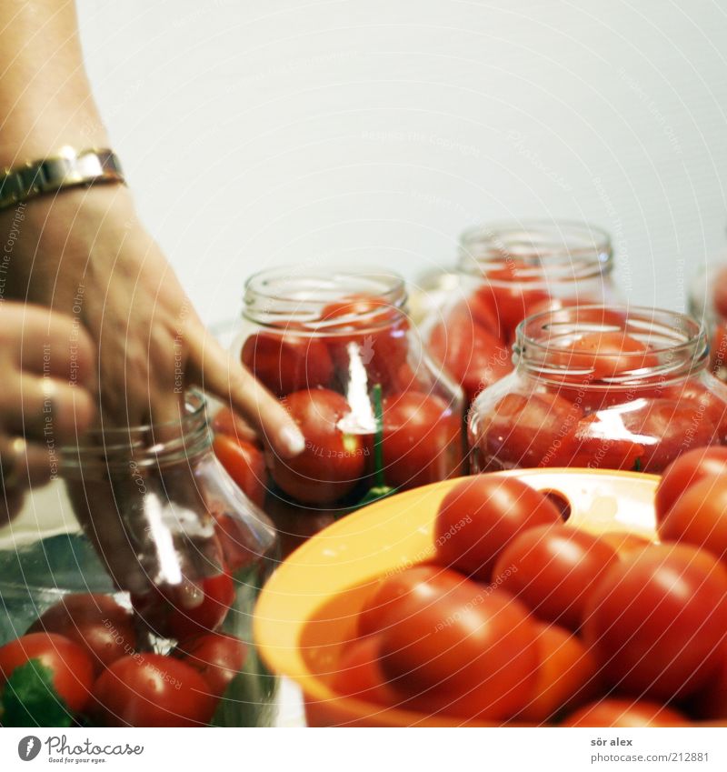 Put in tomatoes Food Vegetable Tomato Hand Preserving jar tomato jar Glass Work and employment Delicious Red White Delicacy Independence Conserve pot Stability