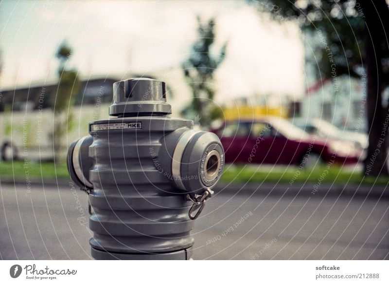 Hydrant in Grau City trip Tree Austria Europe Traffic infrastructure Road traffic Traffic jam Street Car Bus Esthetic Simple Round Gray Green Red White Power