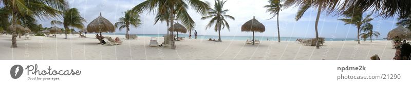 Aruba Beach Palm tree Deckchair Wide angle Sand Graffiti