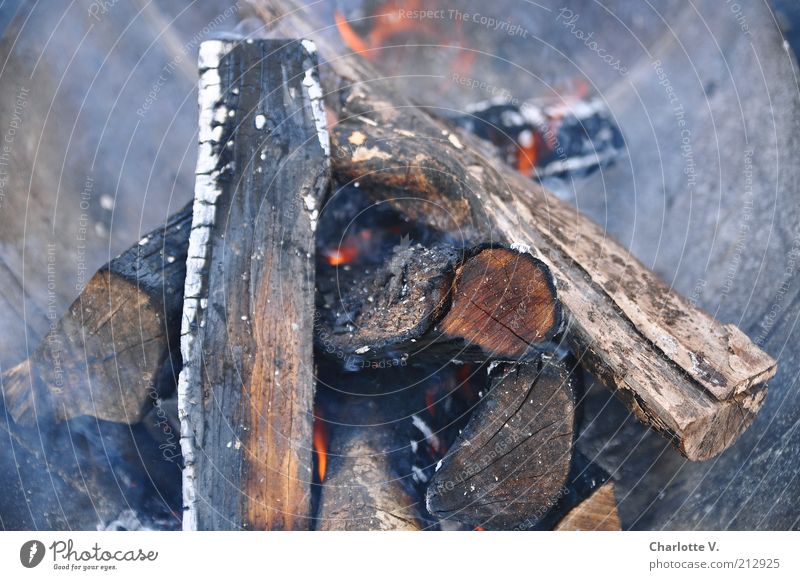 fireplace Ignite Fire Firewood Smoke Fireplace Wood Hot Warmth Gray Red Burn Glow Incandescent Embers Colour photo Subdued colour Exterior shot Close-up