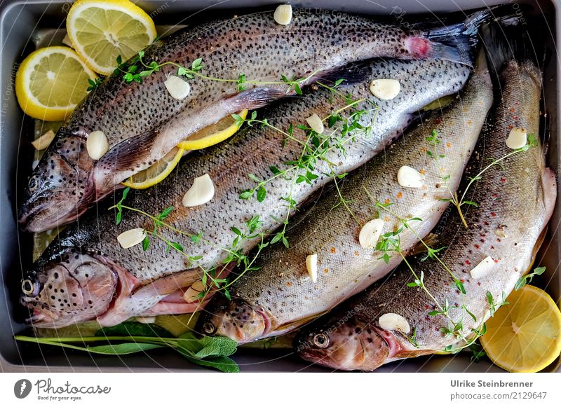 Fresh fish 5 Food Fish Herbs and spices Trout Nutrition Bowl Kitchen Eating Wild animal Dead animal 4 Animal Lie Natural Clean Anticipation To enjoy Quality