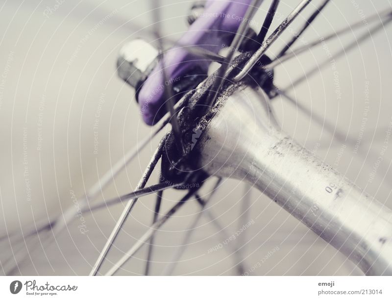 spoke Bicycle Metal Metal post Lubricant Gray Violet Spokes Colour photo Detail Macro (Extreme close-up) Neutral Background Shallow depth of field Axle