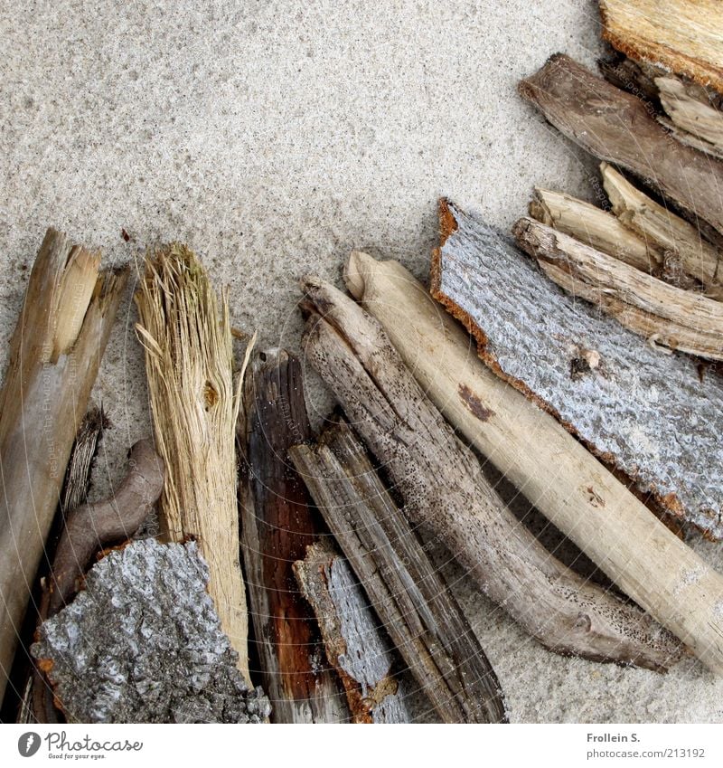driftwood Nature Sand Wood Driftwood Authentic Simple Natural Brown Gray Esthetic Contentment Calm Subdued colour Exterior shot Close-up Structures and shapes