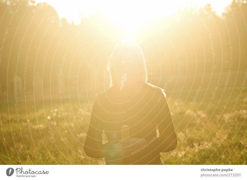 Winner of the Golden Corn Cob Summer Feminine Young woman Youth (Young adults) 1 Human being 18 - 30 years Adults Sun Sunlight Autumn Beautiful weather Field