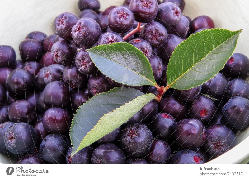 Aronia - apple berry Food Fruit Organic produce Vegetarian diet Summer Shopping Healthy Blue Violet aronia Leaf Bowl Vitamin Harvest Mature Cooking Fruity