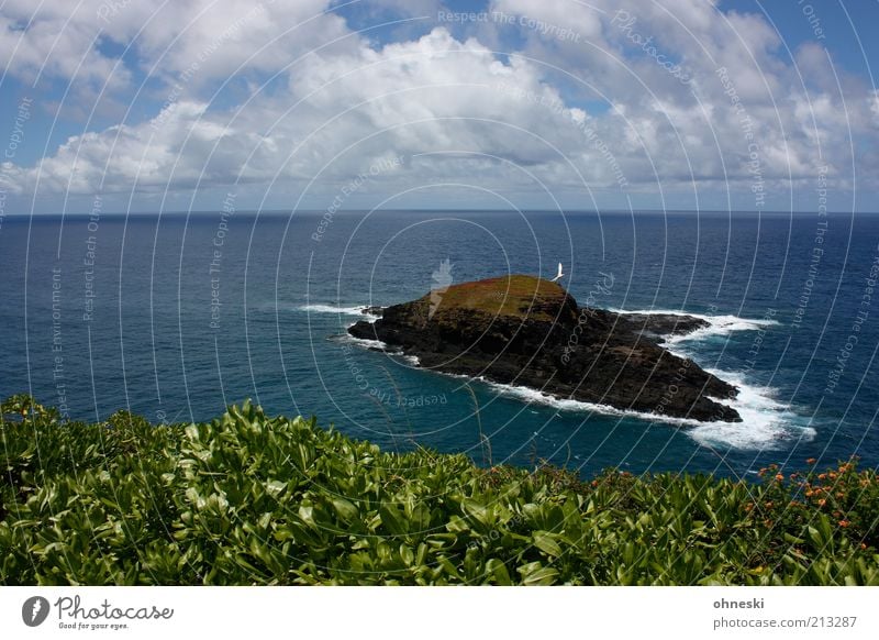 &lt;font color="#ffff00"&gt;-=´ae=- sync:ßÇÈâÈâ Environment Nature Landscape Elements Air Water Sky Clouds Rock Coast Ocean Pacific Ocean Island Kauai Infinity