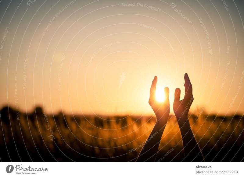 silhouette of female hands during sunset. Lifestyle Joy Happy Harmonious Relaxation Leisure and hobbies Vacation & Travel Freedom Summer Sun Yoga Human being