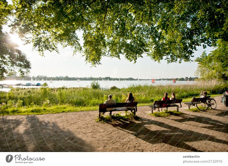 Alster Vacation & Travel Body of water City Hamburg Hanseatic City Sky Heaven Nature Summer Town Townsfolk Quarter Tourism Coast Lakeside River bank City life