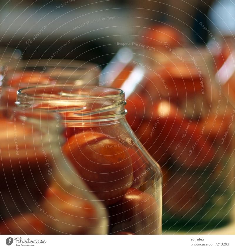 Tomatoes in a jar Food Vegetable Nutrition Preserving jar tomato jar Glass To enjoy Delicious Green Red Delicacy Conserve pot Stability Canned Self-made Supply