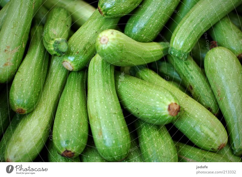 zucchini Food Vegetable Glittering Green Many Zucchini Structures and shapes Fruit Vegetarian diet Colour photo Multicoloured Exterior shot Day Shadow