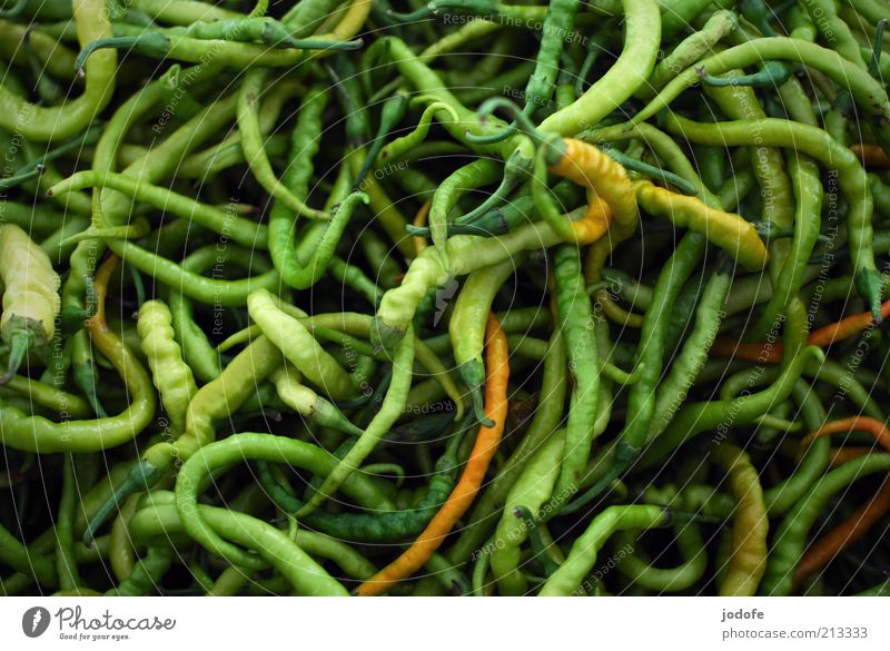 chilli Food Vegetable Herbs and spices Multicoloured Green Tangy Chili Vegetarian diet Muddled Many Structures and shapes Curved Colour photo Exterior shot