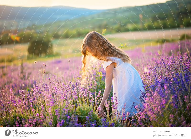 embrace the nature Human being Girl 3 - 8 years Child Infancy Environment Earth Sky Beautiful weather Lavender Field Hill Mountain Lavender field Dress