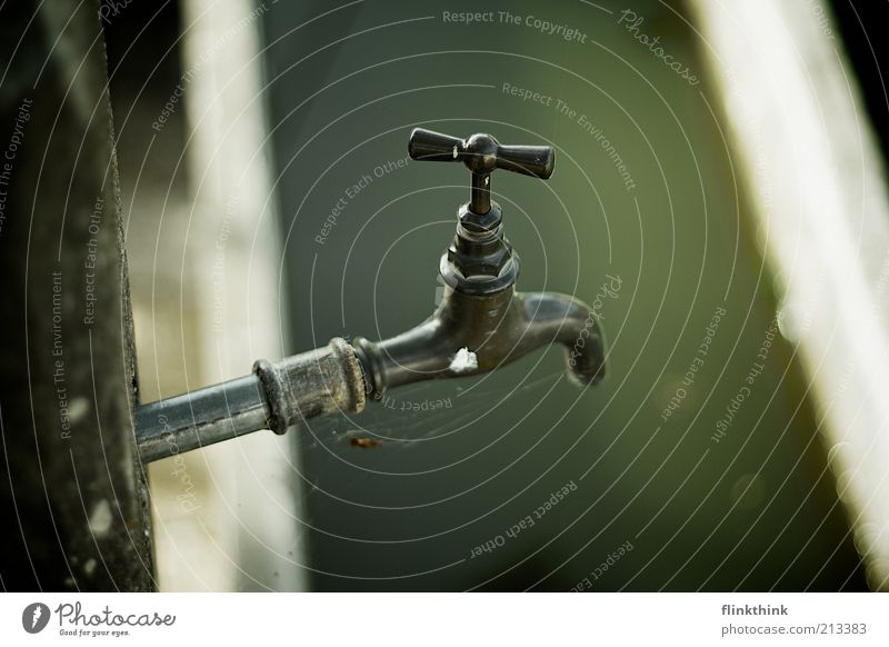 faucet Nature Water Metal Gray Green Tap Drop vital Spider's web Old Colour photo Exterior shot Detail Deserted Copy Space top Copy Space bottom Day Sunlight