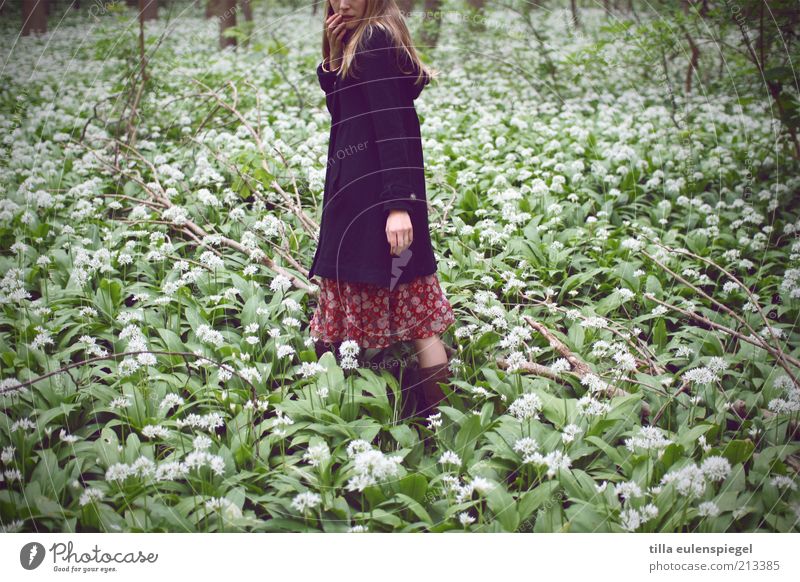 gretel Feminine 1 Human being Nature Plant Club moss Coat Blonde Long-haired Think Discover Natural Gloomy Wild Green Curiosity Loneliness Fear Distress
