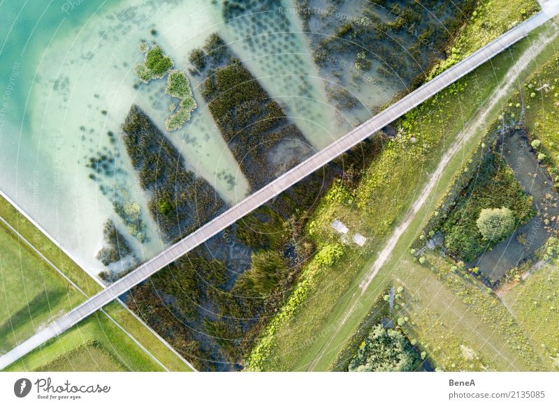 Bridge over a lake with bank vegetation from the air Design Environment Nature Landscape Plant Water Grass Bushes Foliage plant Park Waves Coast Lakeside Beach