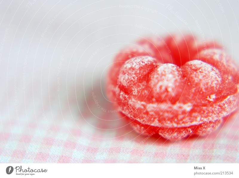 raspberry candy Food Candy Nutrition Small Delicious Round Sour Sweet Pink Raspberry Sugar Fruity Colour photo Multicoloured Studio shot Close-up
