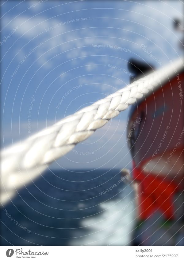 tauziehen... Vacation & Travel Adventure Freedom Cruise Ocean Navigation Rope On board Driving Tug-of-war Firm White Vertauen Drop anchor White crest Red