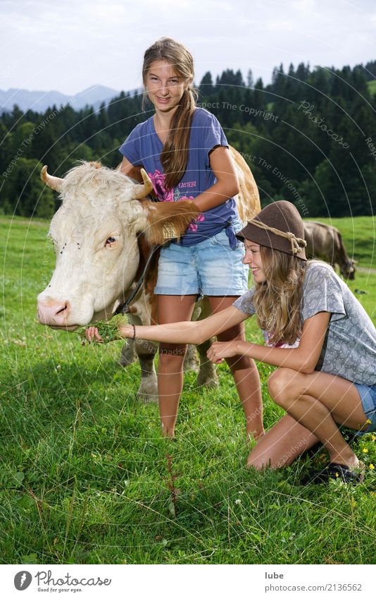 Two Cowgirls Contentment Agriculture Forestry Youth (Young adults) Environment Nature Landscape Summer Animal Pet Farm animal To hold on Forest of Bregenz