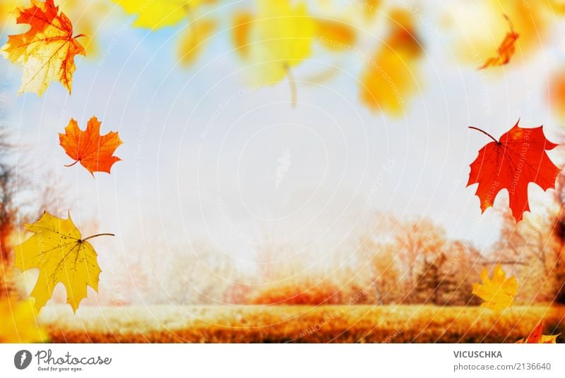 Autumn Nature Background With Falling Baun Leaves A Royalty Free Stock Photo From Photocase