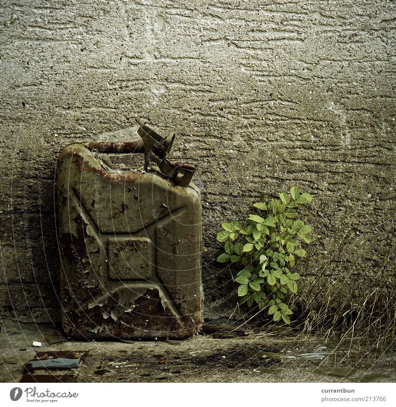 camouflage square Concrete Nature Gas canister Gasoline Colour photo Subdued colour Exterior shot Close-up Copy Space top Day Light Decompose Old Wall (barrier)