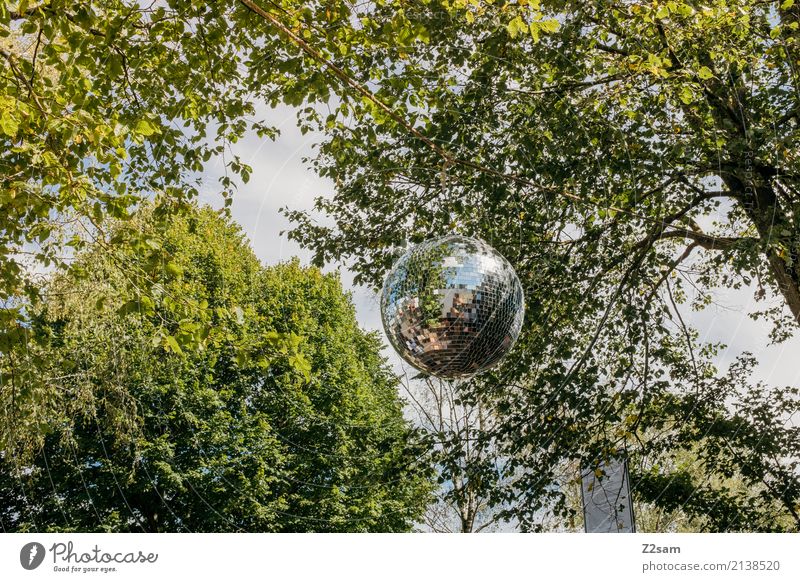 PARTY!!! Nature Landscape Sunlight Summer Beautiful weather Tree Bushes Park Disco ball Esthetic Green Leisure and hobbies Joy Idyll electro Party sunshine