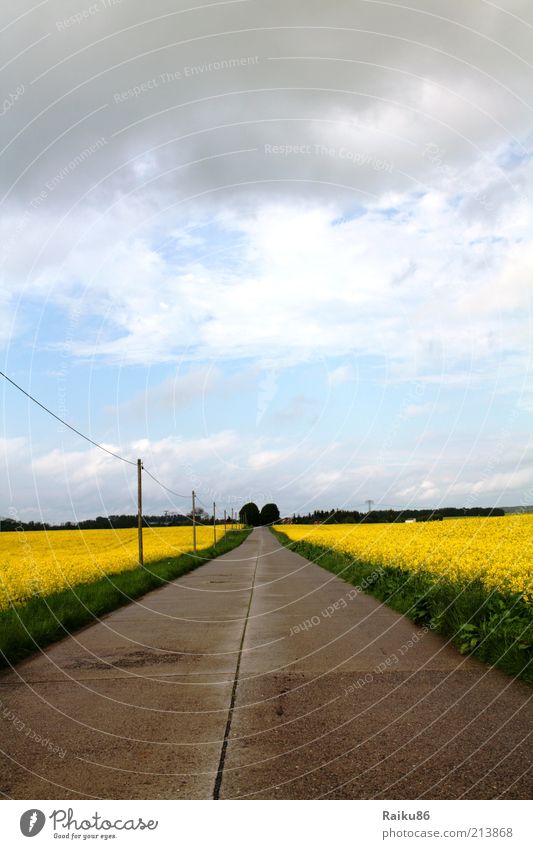 straight ahead Leisure and hobbies Vacation & Travel Trip Far-off places Freedom Nature Landscape Sky Beautiful weather Bad weather Agricultural crop