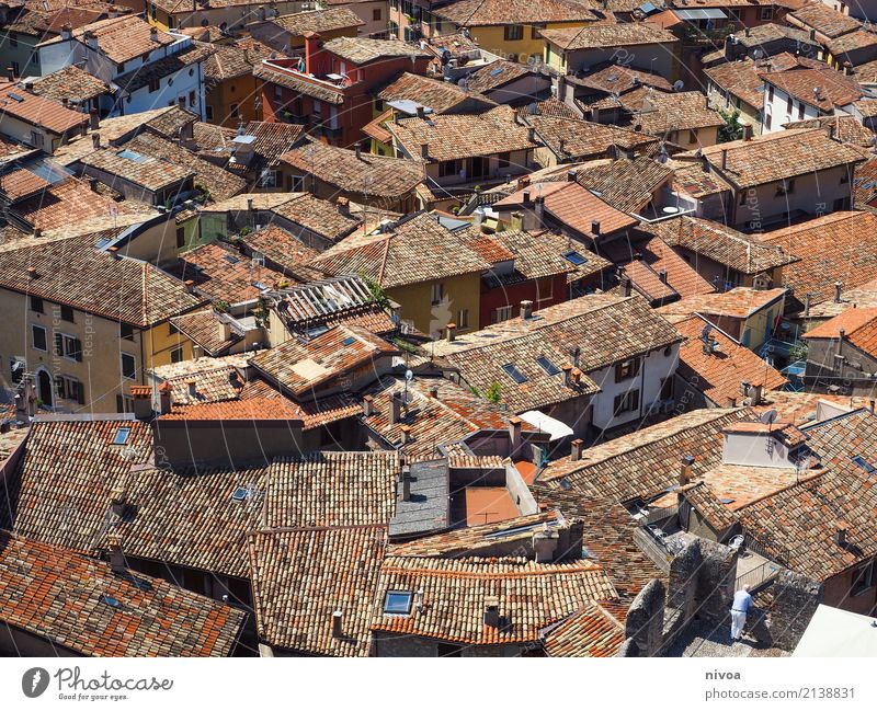 Roofs at Lake Garda Vacation & Travel Tourism Sightseeing City trip Summer Summer vacation Living or residing Flat (apartment) House (Residential Structure)