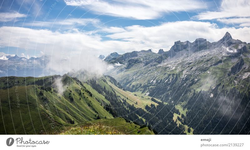 wafts of mist Environment Nature Landscape Summer Beautiful weather Fog Hill Alps Mountain Natural Green Switzerland Tourism Vacation & Travel