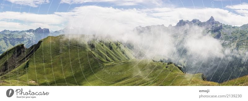 wafts of mist Environment Nature Landscape Summer Autumn Beautiful weather Fog Hill Alps Mountain Natural Green Fog bank Switzerland Tourism Vacation & Travel
