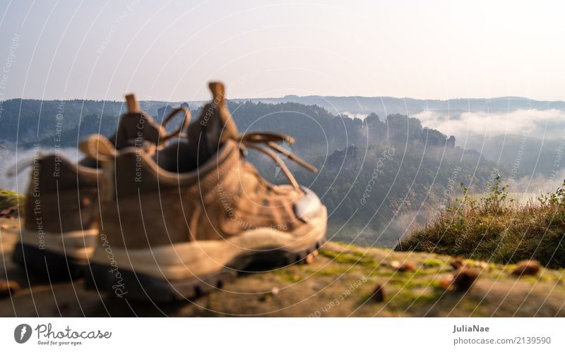 Hiking boots with view outlook Vantage point Tree Mountain Mountaineering Elbsandstone mountains Relaxation Elbsandstein region Rock Going Peak Autumn Landscape