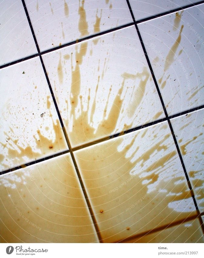 beginning of week Coffee Fluid Brown Tile Spill dropped Diagonal Parallel Floor covering Inject Seam Colour photo Subdued colour Interior shot Detail Pattern