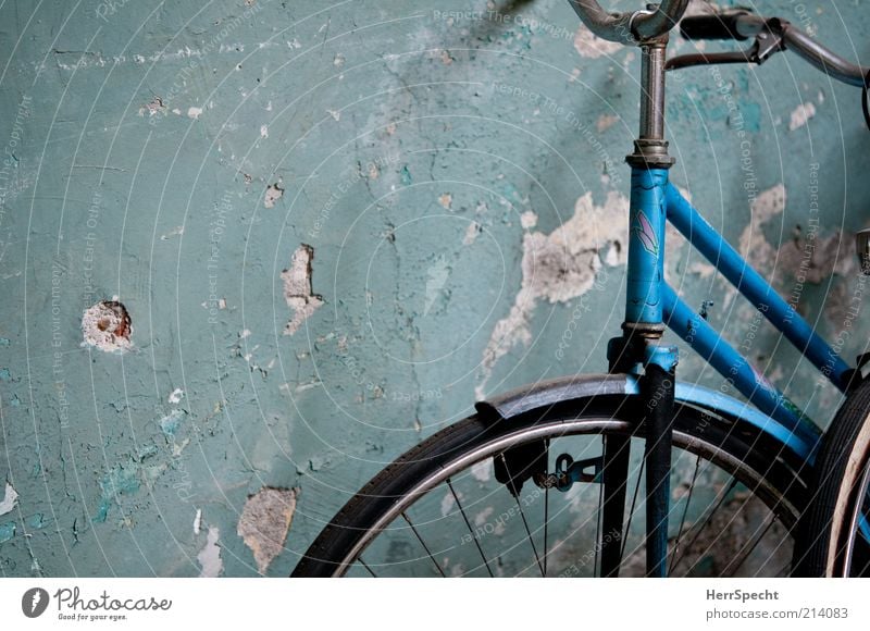 In the backyard Wall (barrier) Wall (building) Bicycle Old Authentic Dirty Broken Trashy Gloomy Blue Green Plaster Hollow Colour Detail Section of image