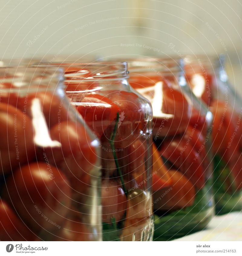 Tomatoes in jars Food Vegetable Nutrition Preserving jar Glass tomato jar Delicacy Conserve pot Stability Self-made To enjoy Supply Canned Colour photo