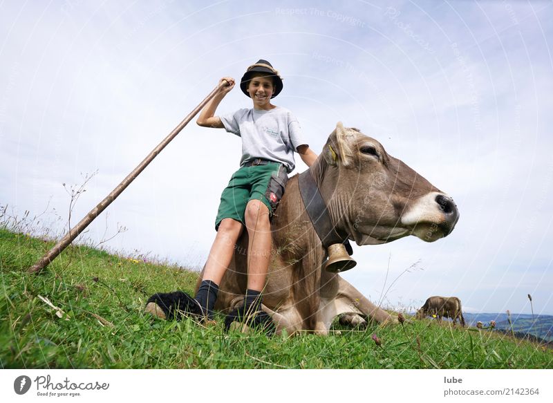 shepherd boy Tourism Mountain Agriculture Forestry 1 Human being Environment Nature Landscape Summer Field Alps Animal Pet Farm animal Cow Happiness Joy