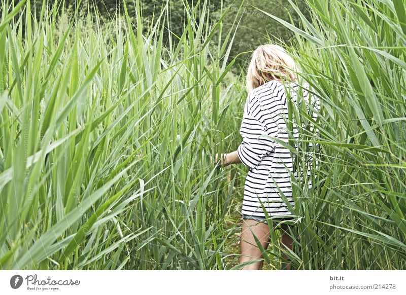 In the reeds Joy luck Contentment Relaxation Calm Leisure and hobbies Trip Summer Summer vacation Feminine Young woman Youth (Young adults) 1 Human being