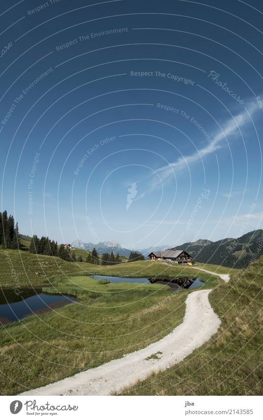 Alpine hut in the Bernese Oberland Lifestyle Well-being Calm Leisure and hobbies Vacation & Travel Trip Far-off places Freedom Cycling tour Mountain Hiking