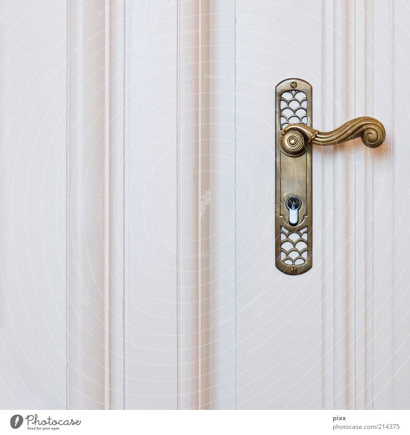 for jack blowers Lifestyle Elegant Style Door Door handle Wood Metal Gold Esthetic Historic Kitsch White Colour photo Subdued colour Interior shot Detail