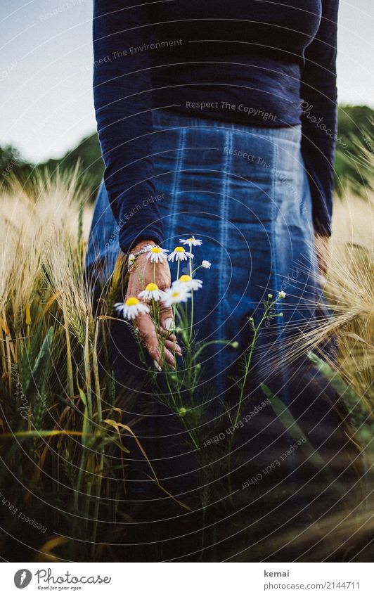Flowers and a skirt in the field Lifestyle Style Harmonious Well-being Contentment Senses Relaxation Calm Leisure and hobbies Trip Freedom Human being Feminine