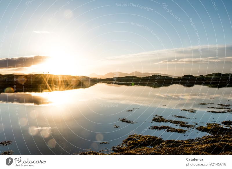 Double lighting sun reflected in the water of the bay Nature Landscape Water Sky Horizon Sunlight Beautiful weather Algae Rock Mountain coast Bay Ocean