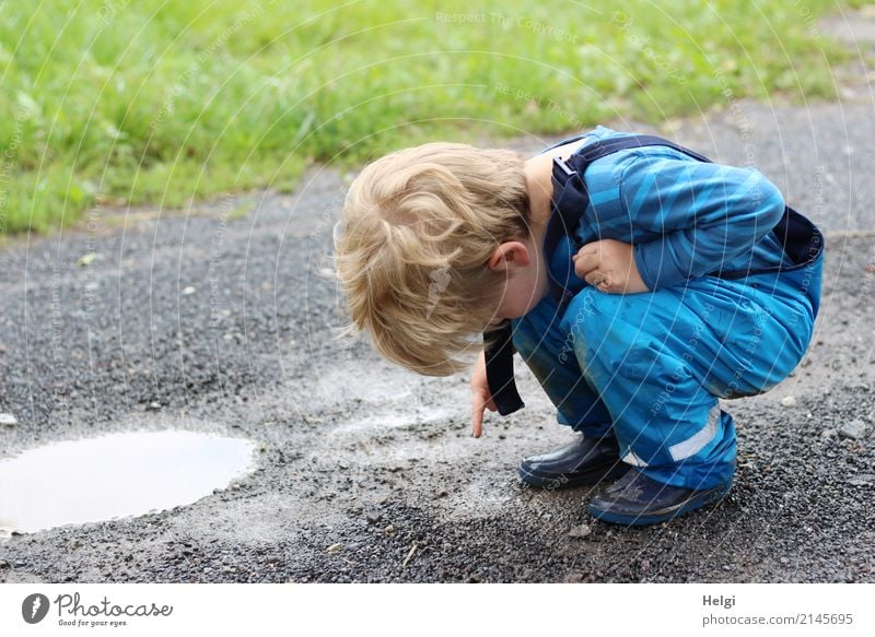 little boy squats on a rain-soaked path and points to a worm Human being Masculine Toddler Infancy 1 3 - 8 years Child Environment Nature Water Summer
