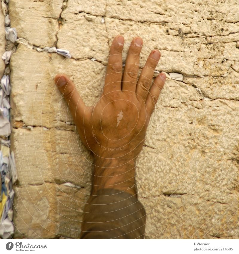 Western Wall Hair and hairstyles Skin Human being Masculine Man Adults Hand Culture Wall (barrier) Wall (building) Facade Tourist Attraction Stone Cleaning Calm